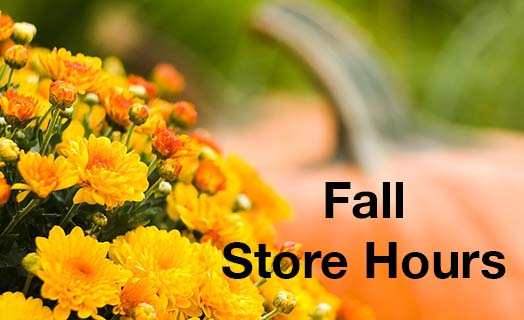 Fall Store Hours